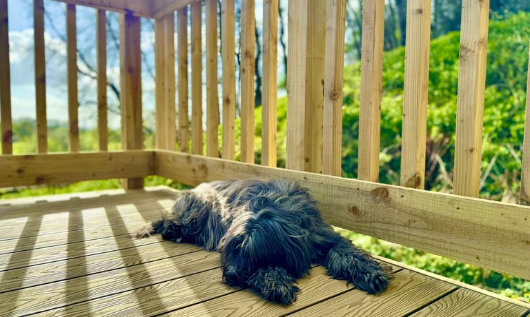 Private Deck