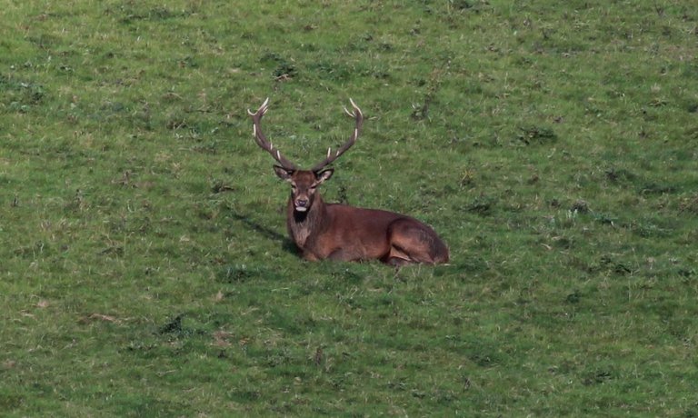 Tilbury Farm