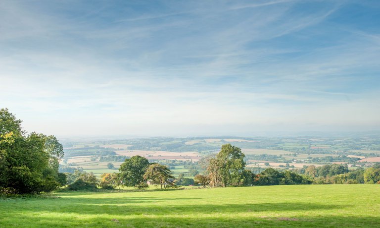 Tilbury Farm