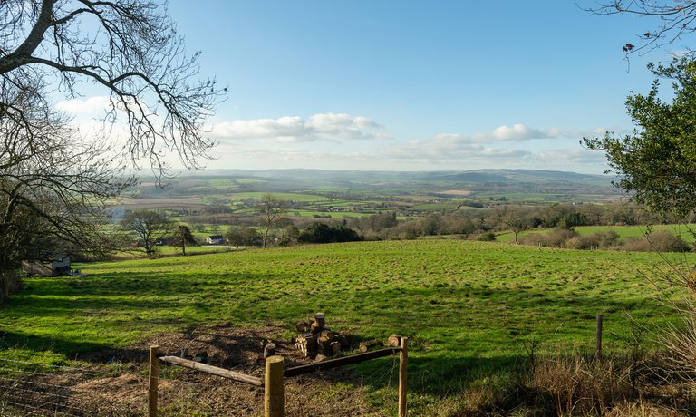 Views from Tilbury Farm