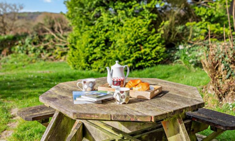 Picnic Table