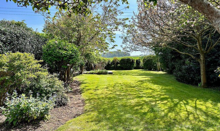 Spacious Garden