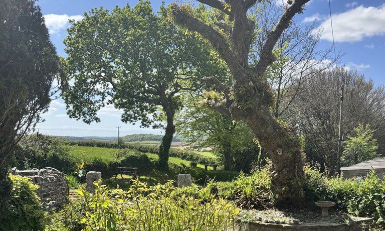 Gardens