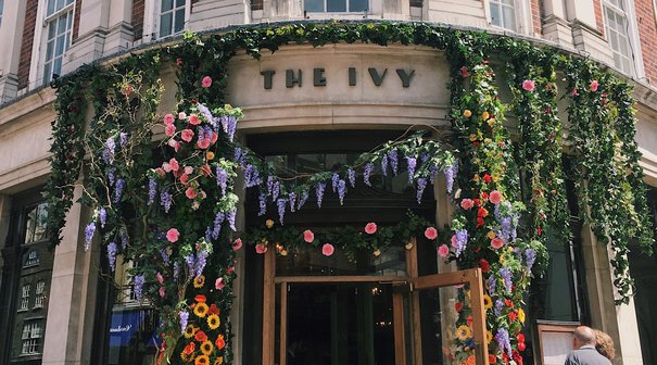 The Ivy, York