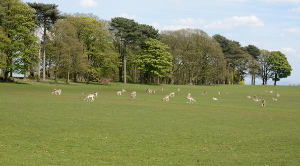 Tatton Park Estate, operated by the National Trust