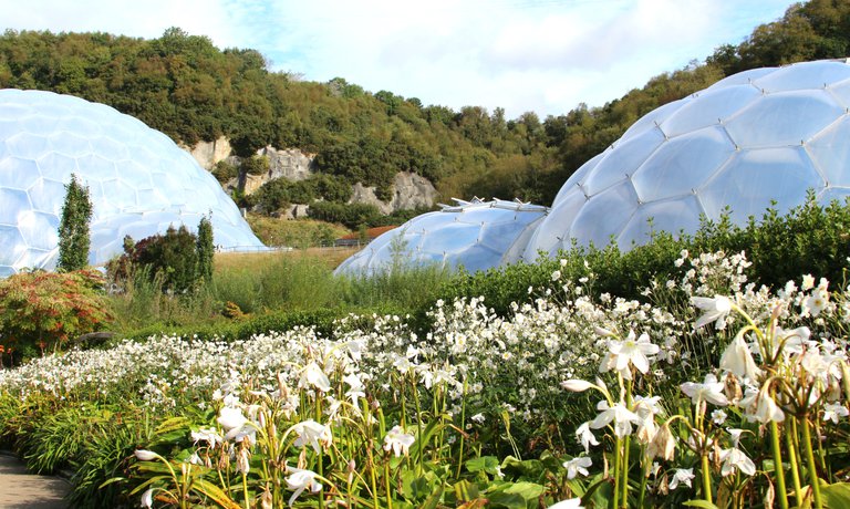 The Eden Project