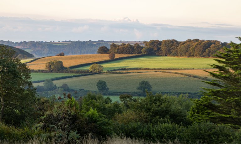 Countryside Views